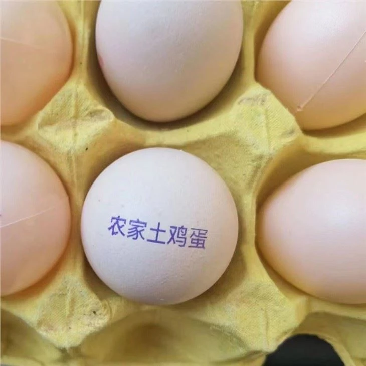 New Fully Automatic Egg Coding Machine